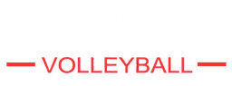 Deep South Volleyball Club banner logo