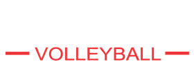 Deep South Volleyball Club banner logo